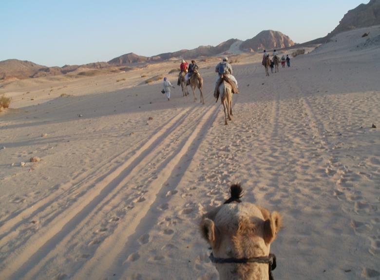 Dahab jeep 2 days Camel desert safari